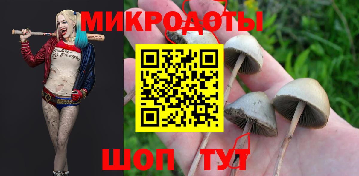 Псилоцибиновые грибы Psilocybine cubensis  Вход с VPN  Шебекино 