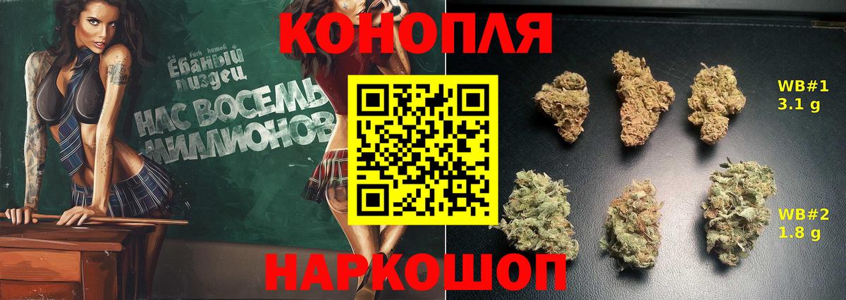 Канабис семена Шебекино